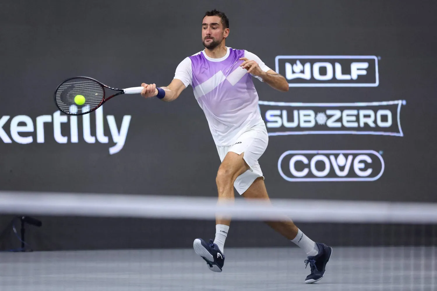 الكرواتي مارين شيليتش يحطم الأرقام في دالاس (إ.ب.أ)