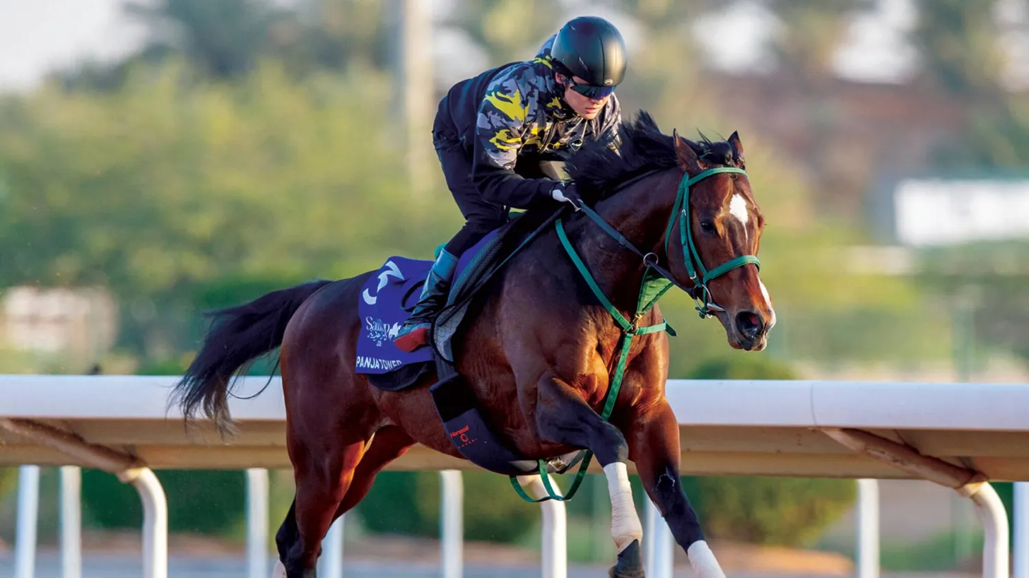  «بانغا تاور» يقود التحدي الياباني نحو لقب جديد في «كأس 1351 للسرعة» (نادي سباقات الخيل)