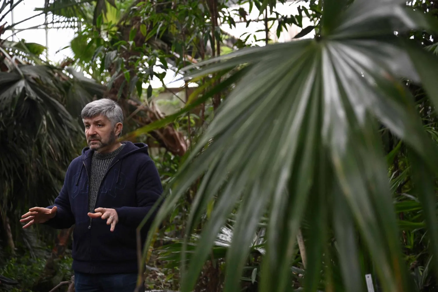 Doctor of Biological Sciences Roman Ivannikov, Head of the Department of Tropical and Subtropical Plants of the Gryshko National Botanical Garden of the National Academy of Sciences of Ukraine, speaks during an AFP interview in the garden's main greenhouse in Kyiv on February 11, 2026. (Photo by Genya SAVILOV / AFP)