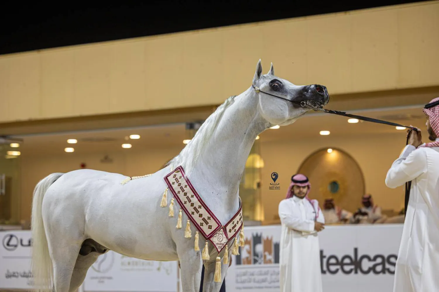 الفحل كريم الخالد لحظة التتويج (الشرق الأوسط)