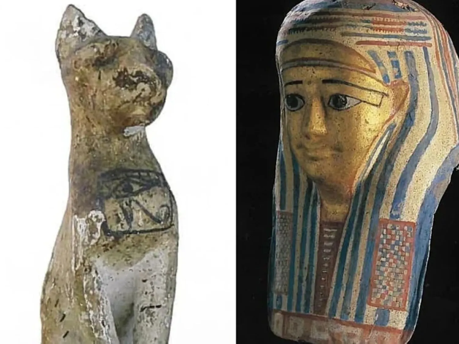 عدد من المضبوطات التي عُثر عليها وفقاً لما أعلنته الشرطة الأسترالية (الموقع الرسمي لشرطة كوينزلاند)