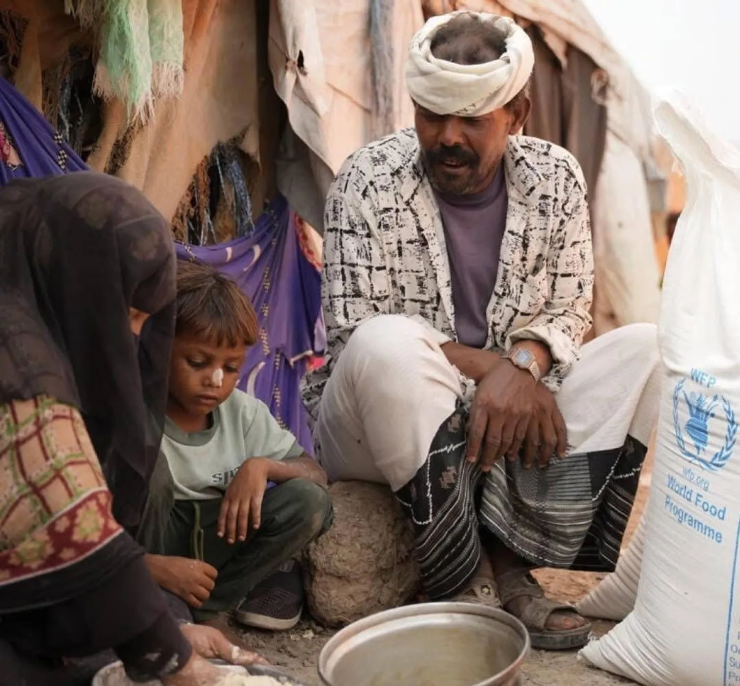 The Houthis deprived millions of Yemenis of life-saving aid (local media)