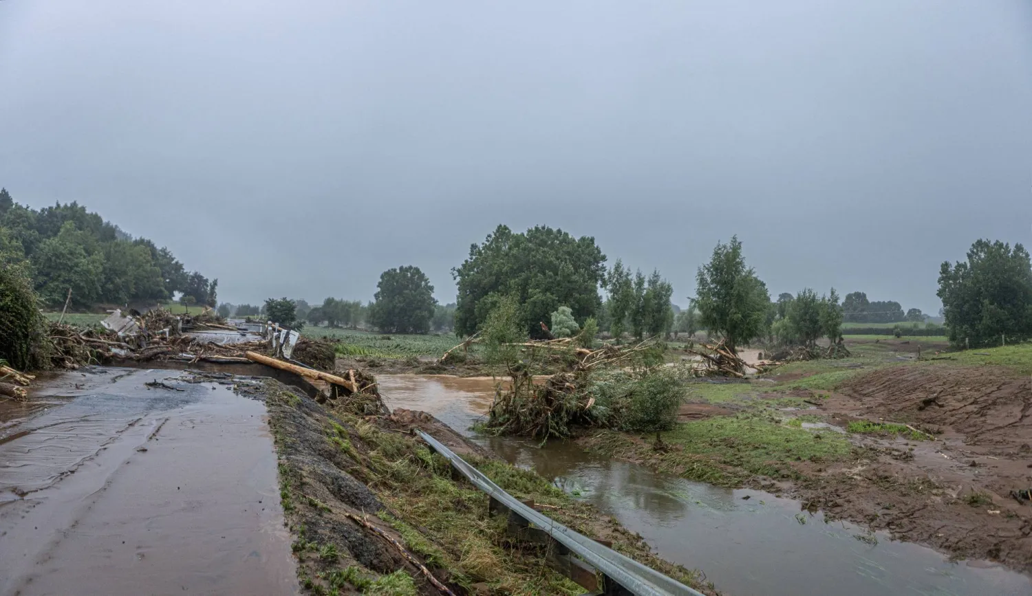 Trees lie amid the floodwaters after heavy rain and wild winds in Puketotara, Waikato region, New Zealand, February 14, 2026, in this picture obtained from social media. Wayne Feisst/via REUTERS