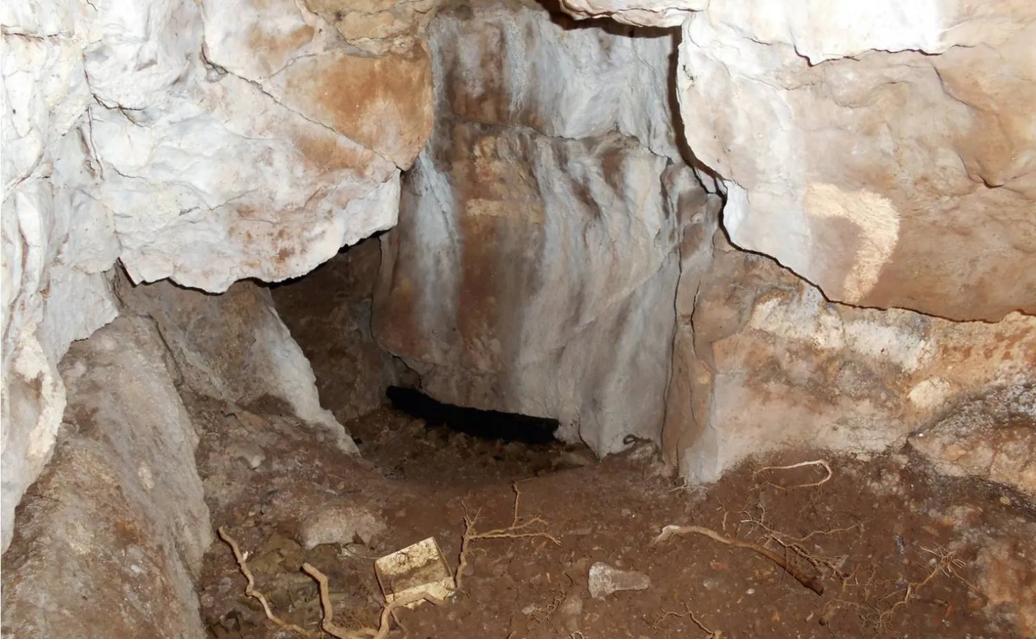 بعض الاكتشافات تُعيد إلى الماضي وجهه الإنساني (جامعة لانكشاير)