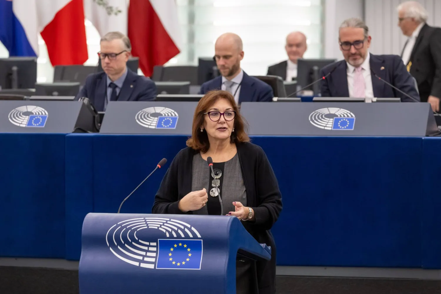 European Commissioner for the Mediterranean Dubravka Suica speaks during a debate on the “Situation in Northeast Syria, the violence against civilians and the need to maintain a sustainable ceasefire” as part of the European Parliament plenary session in Strasbourg, France, 10 February 2026. (EPA)  
