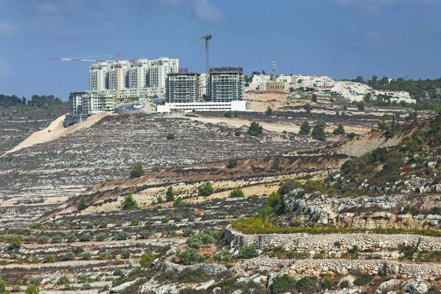 مبانٍ شُيّدت حديثاً في مستوطنة غيفعات زئيف الإسرائيلية قرب مدينة رام الله الفلسطينية بالضفة الغربية (أ.ف.ب)