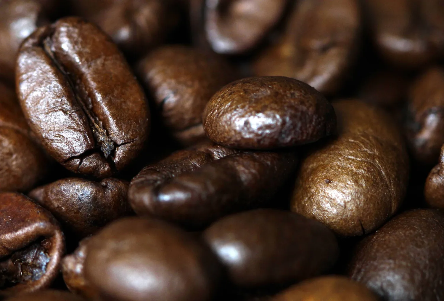 17 April 2012, North Rhine-Westphalia, Vluyn: A general view of Arabica Coffee beans. (dpa)