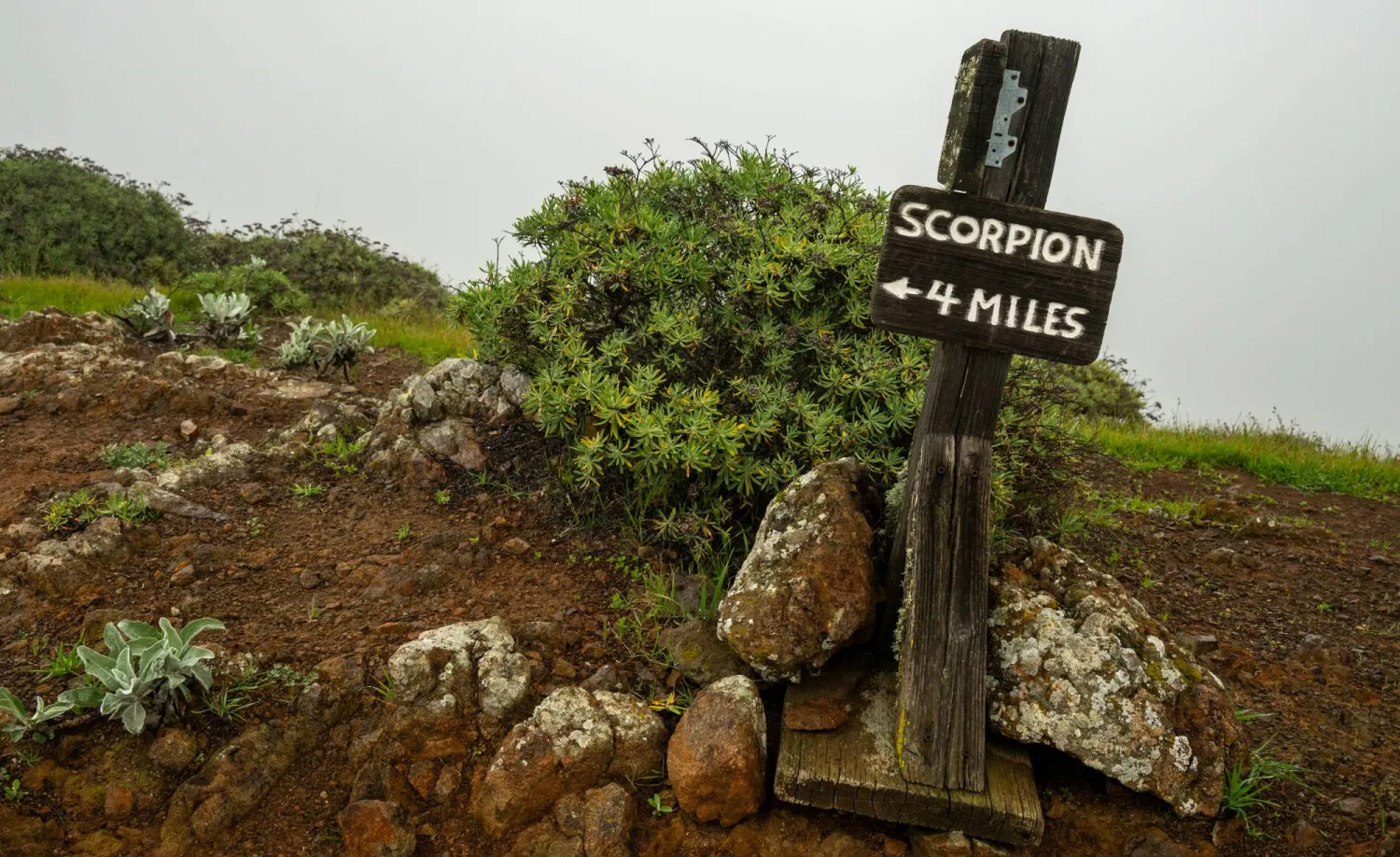 المعرفة... أول درع في مواجهة ما يختبئ تحت الأقدام (شاترستوك)