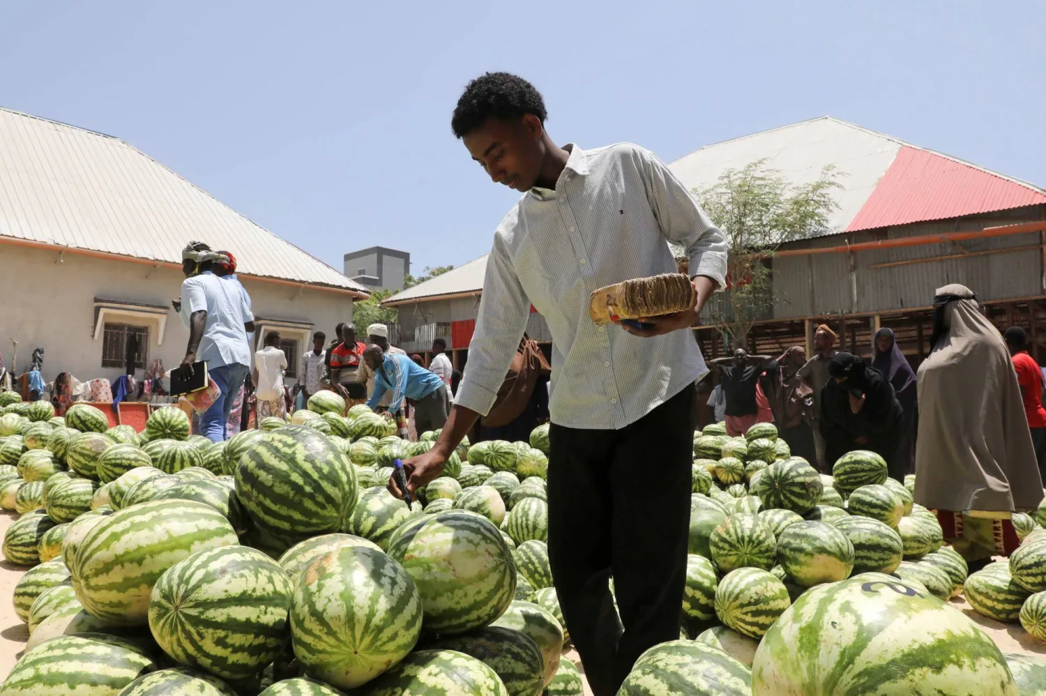 A Somali trader marks watermelons for sale at an open-air grocery market as Muslims start the fasting month of Ramadan, the holiest month in the Islamic calendar, within Bakara market in Mogadishu, Somalia, February 18, 2026. (Reuters)