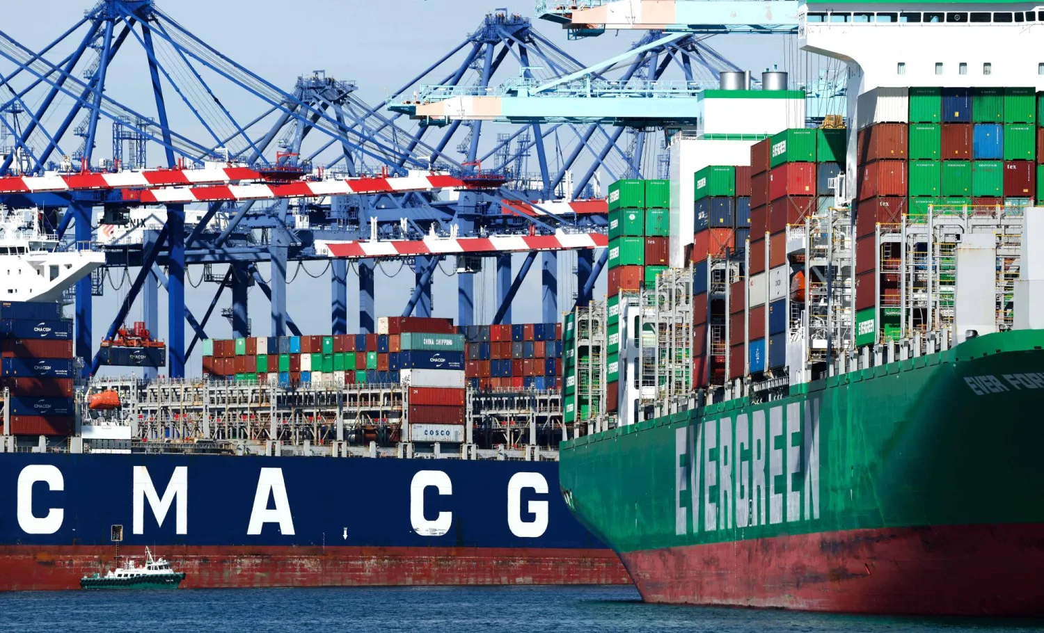 رافعات شحن تعلو سفن حاويات محمّلة بحاويات في ميناء لوس أنجليس (أ.ف.ب)