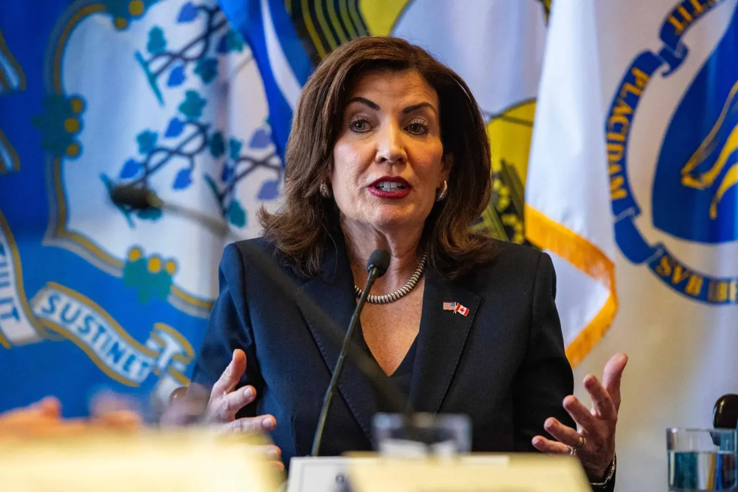 New York Eyaleti Valisi Kathy Hochul (AFP)