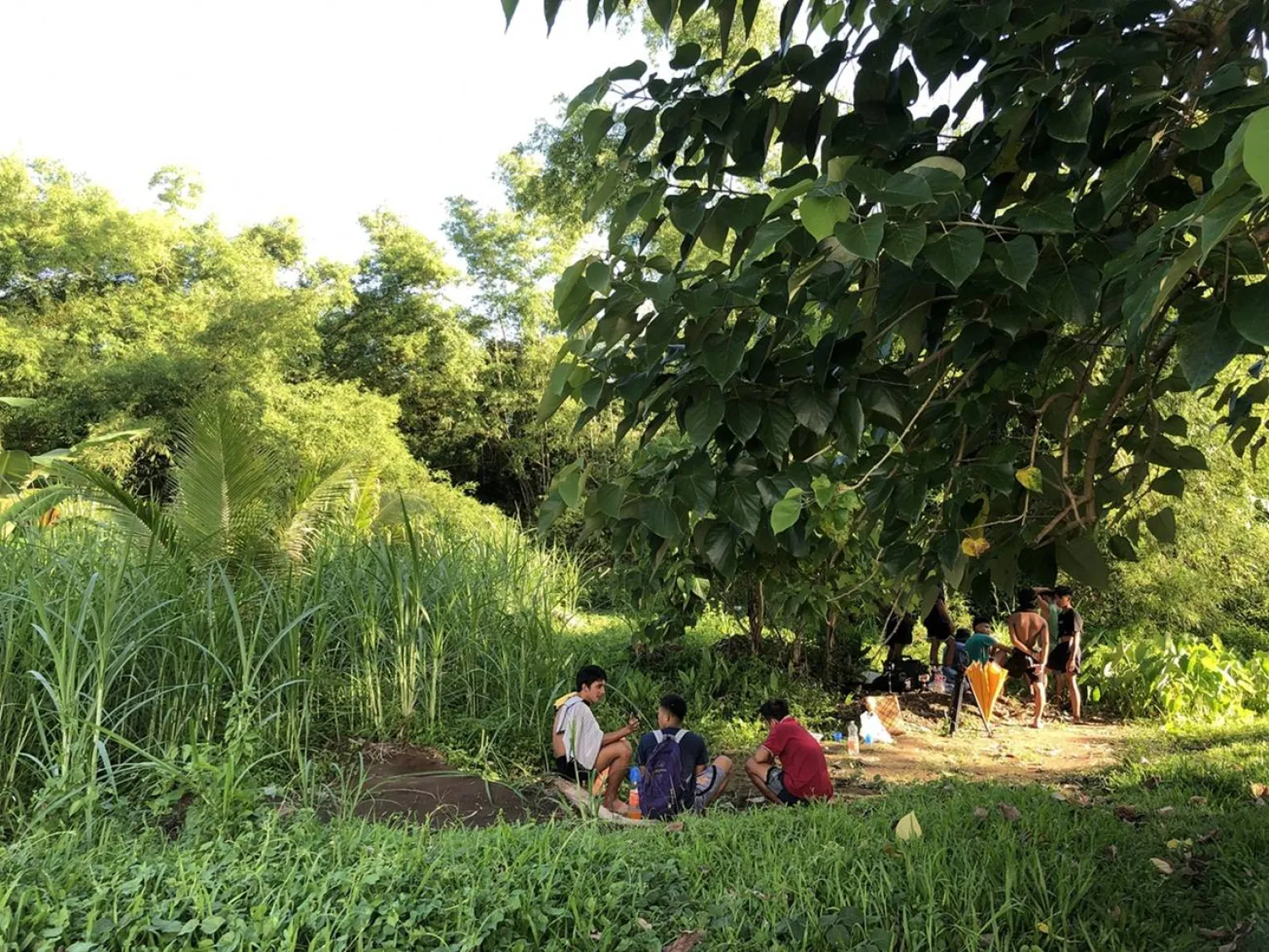 عرض الفيلم للمرة الأولى في مهرجان «روتردام» (الشركة المنتجة)