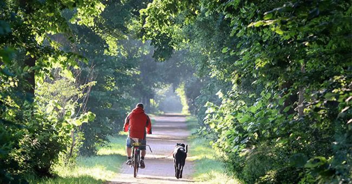 دراجة كهربائية... وطريق أقصر نحو صحة أفضل (جامعة أوتاغو)