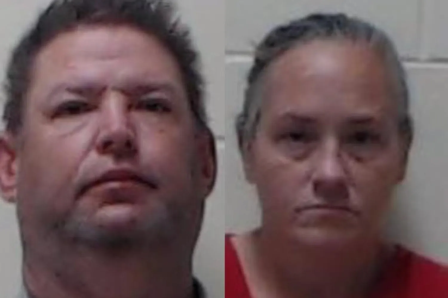 Edward Downing ve Stephanie Skeris'e birden fazla dolandırıcılık ve çocuk ihmali suçu isnat edildi (Dixie County Şerif Bürosu)