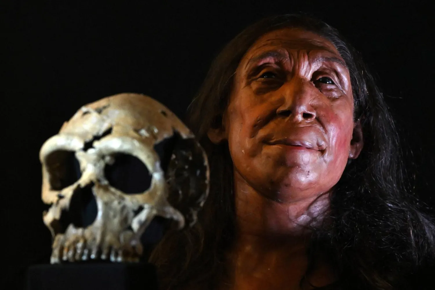 Neandertal bir kadının yeniden inşa edilen 75 bin yıllık kafatası ve yüzüyle başının fiziksel rekonstrüksiyonu (AFP)