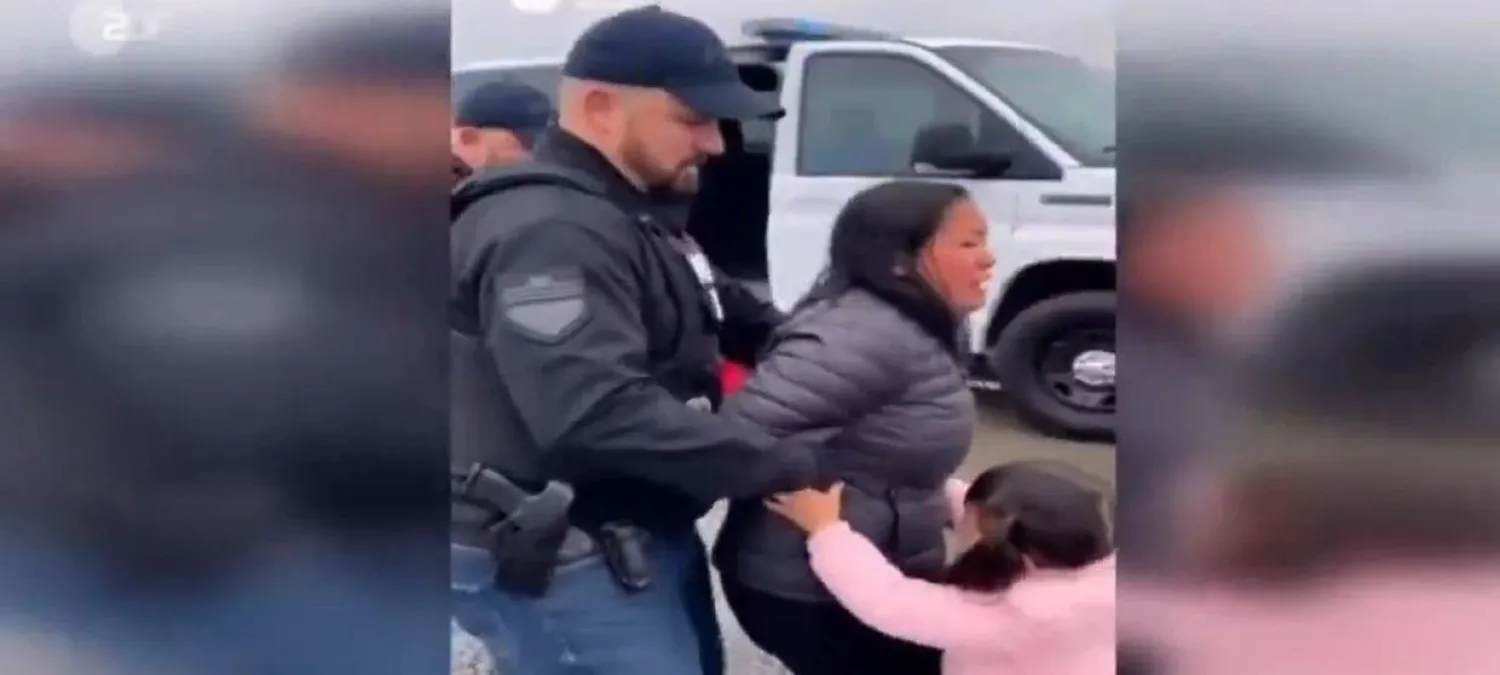 لقطة من التقرير (زد دي إف) 