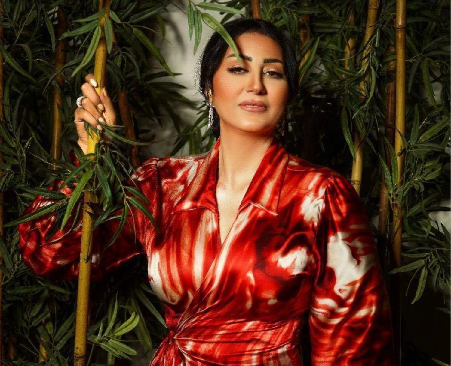 الفنانة وفاء عامر (صفحتها على «فيسبوك»)