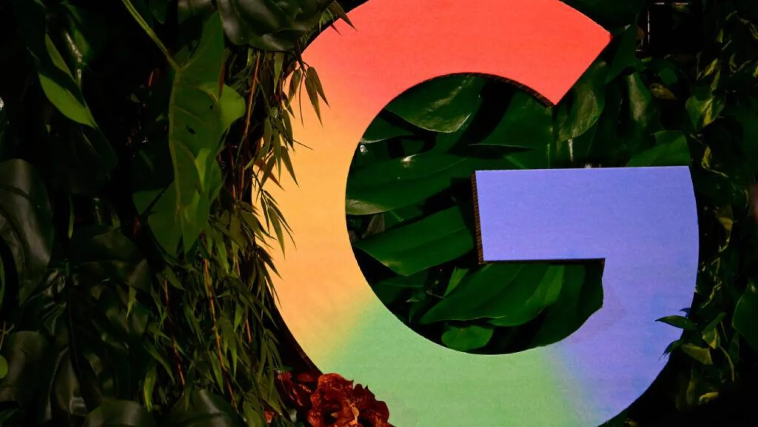 Google has launched a massive AI investment drive in Germany. Tobias SCHWARZ / AFP
