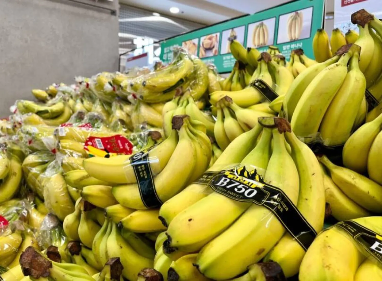 يرتبط تناول الموز بانتظام بفوائد صحية كثيرة أبرزها قدرته على دعم صحة القلب (أرشيفية - رويترز)