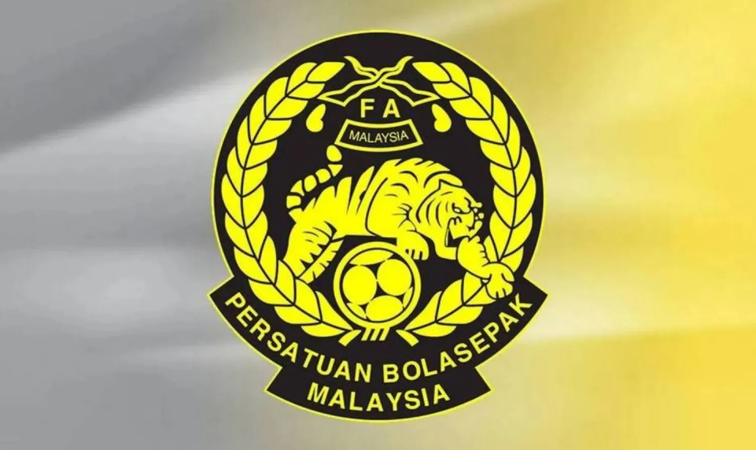حصل اللاعبون على جوازات سفر ماليزية وتم اختيارهم في مباراة فيتنام (الاتحاد الماليزي)
