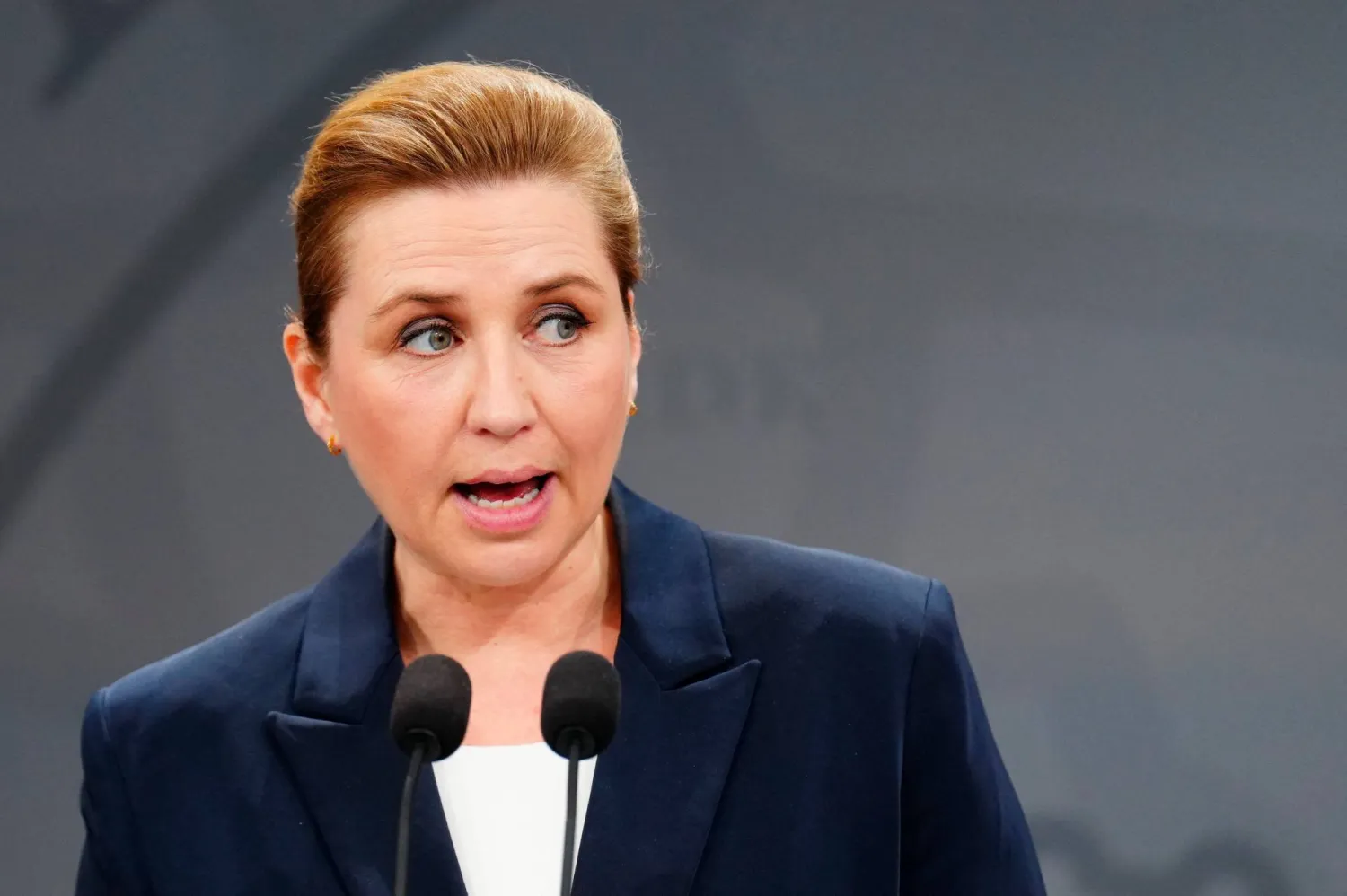 الشرطة الدنماركية تعتزم تفتيش سفينة حاويات إيرانية