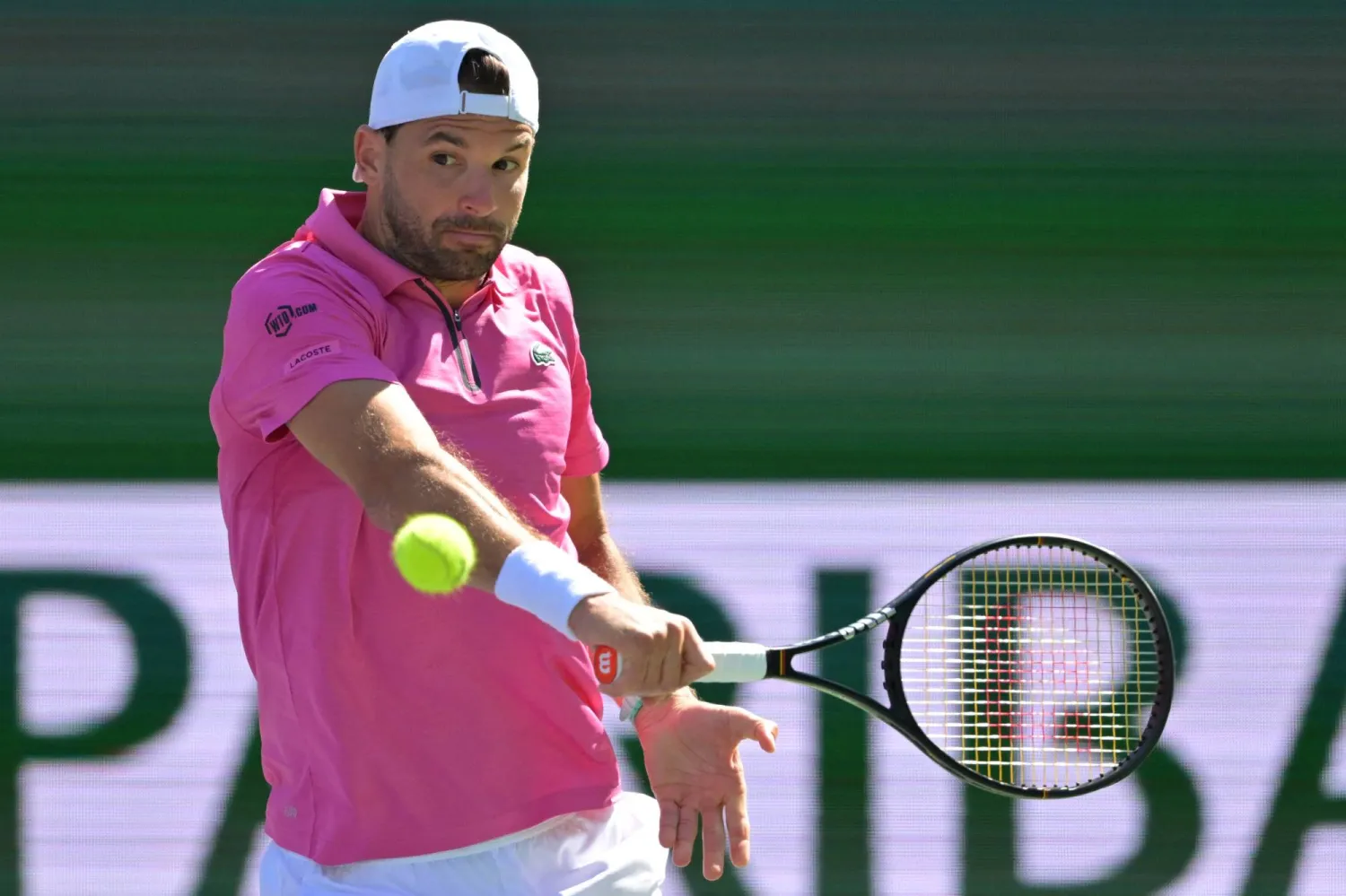 البلغاري غريغور ديميتروف يتألق في «إنديان ويلز» (رويترز)