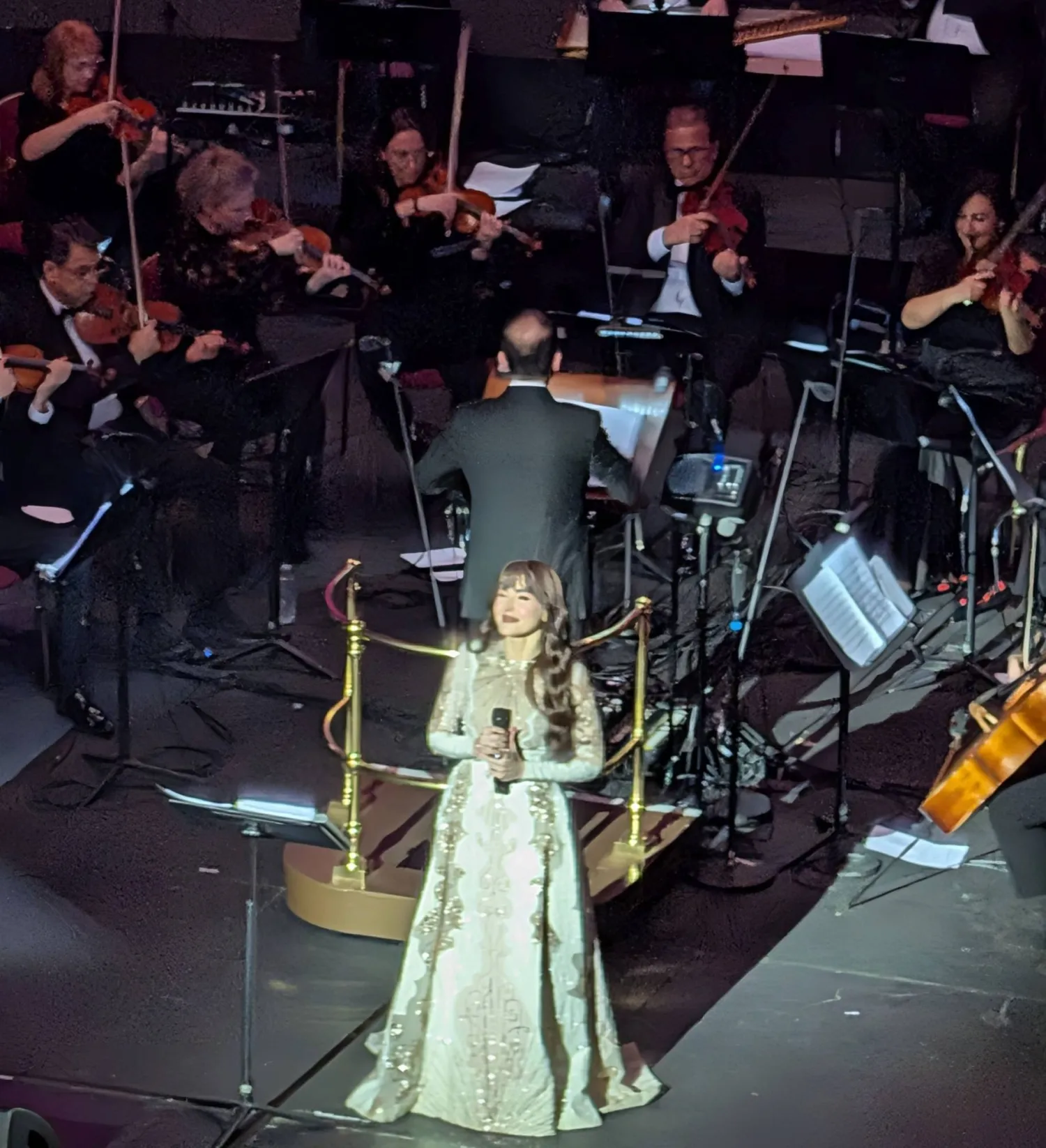 عبير نعمة في ألبرت هول (الشرق الأوسط)