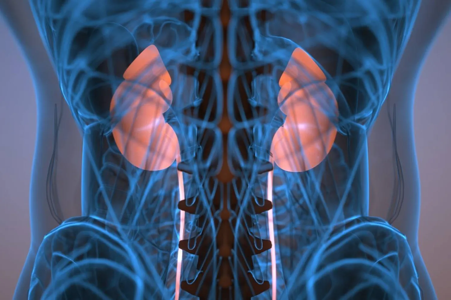 مرض الكلى السكري يؤثر على وظائف الكلى (جامعة سينسيناتي)