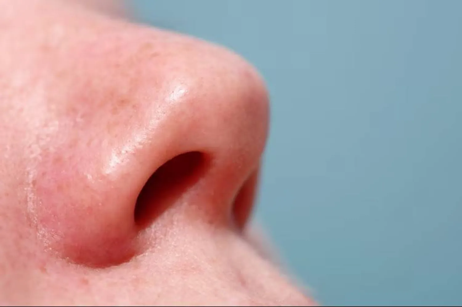 تتناوب فتحات الأنف على استقبال الهواء عدة مرات في اليوم (غيتي)