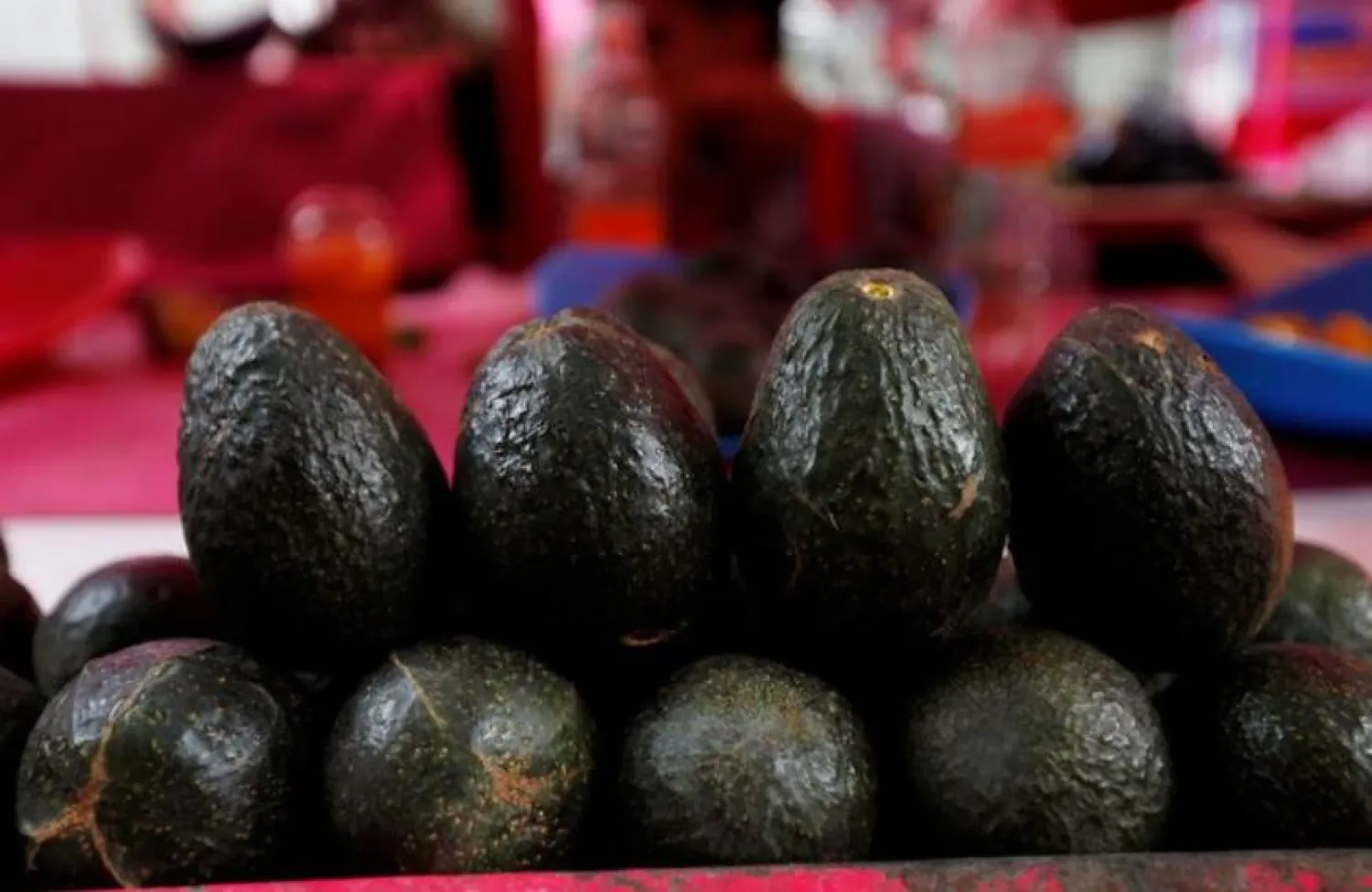 حبات من الأفوكادو (أرشيفية - رويترز) 