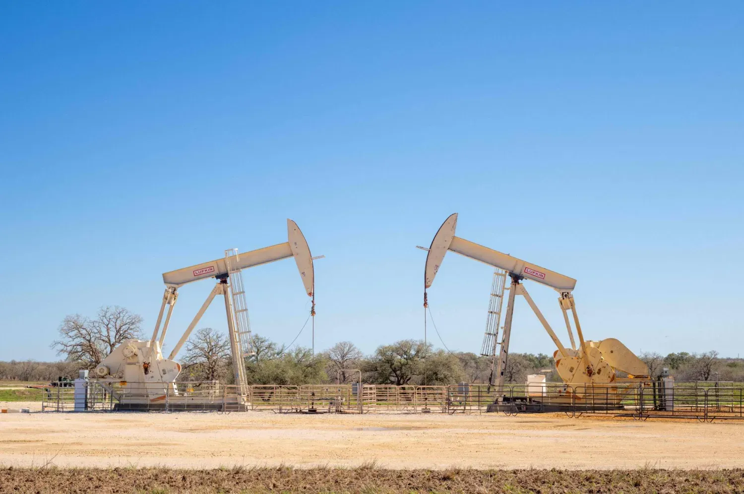 Teksas eyaletindeki bir petrol sahasında bulunan petrol pompaları (AFP)