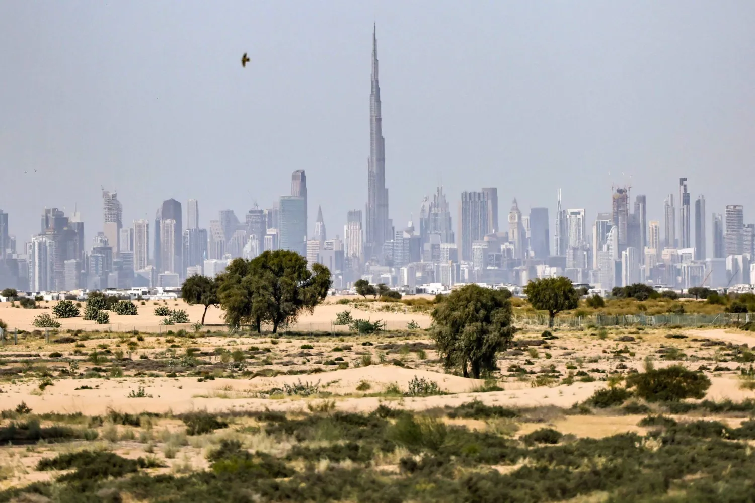 A photograph shows Dubai's skyline with the Burj Khalifa at the center on March 11, 2026. (Photo by FADEL SENNA / AFP)