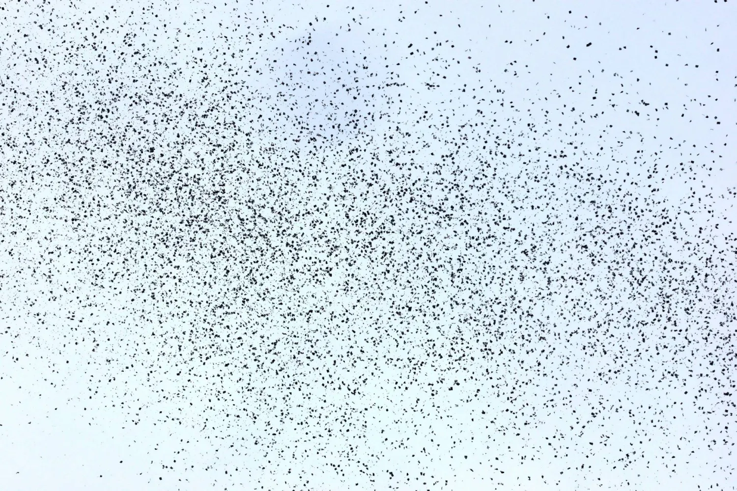 المناشير الإسرائيلية في سماء بيروت (إ.ب.أ)