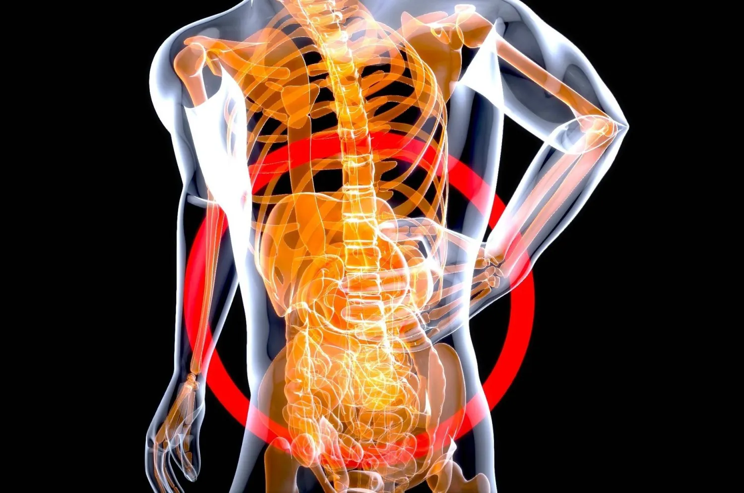 التغيرات التي تطرأ على الأمعاء مع التقدم في العمر يمكن أن تسهم في تدهور القدرات الإدراكية (بيكسباي)