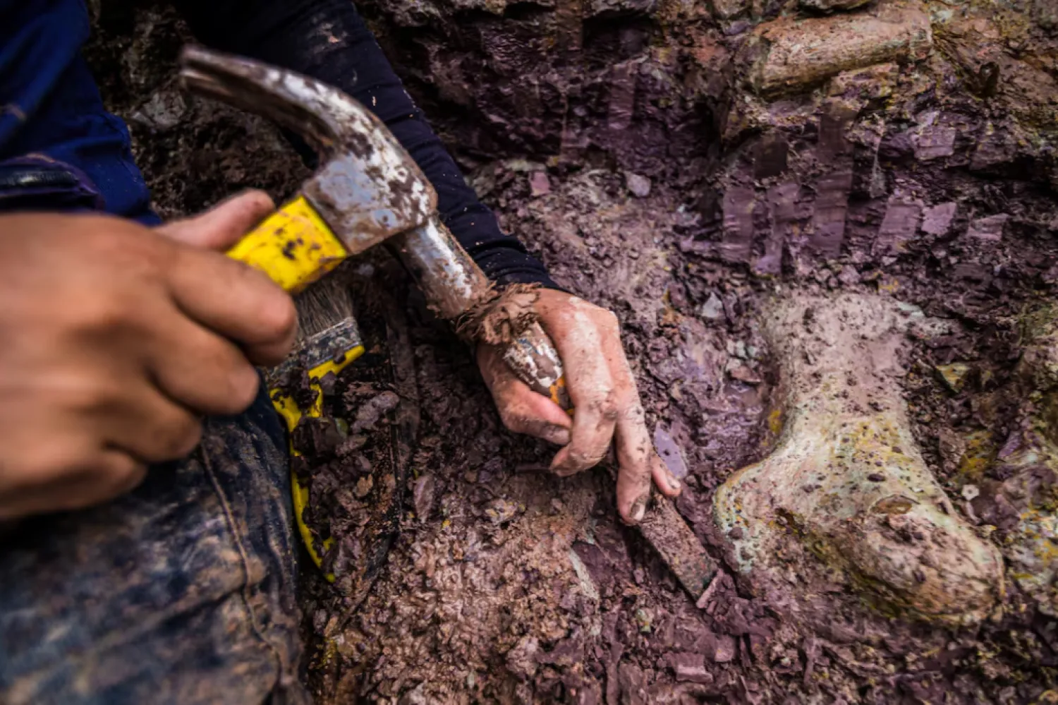 An employee works at the excavation site where dinosaur bones were found in Davinopolis, Maranhao state, Brazil, April 28, 2021. Giovani de Toledo Viecili/Handout via REUTERS 