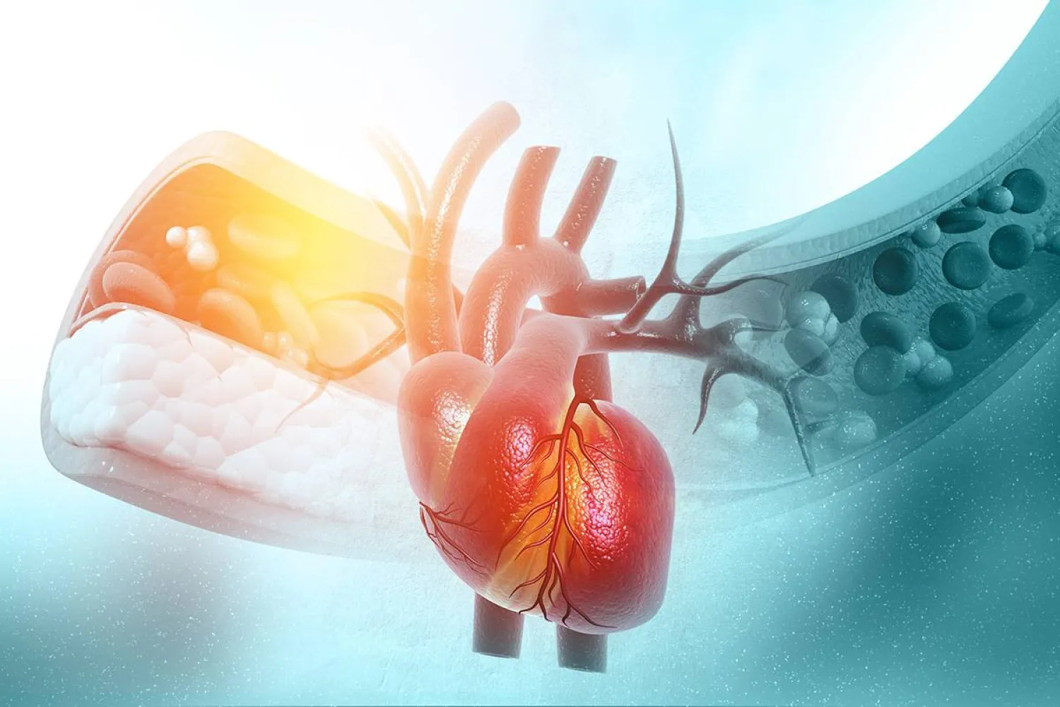 ارتفاع مستويات الكولسترول الضار في الدم تزيد خطر الإصابة بأمراض القلب (جامعة كونيتيكت)