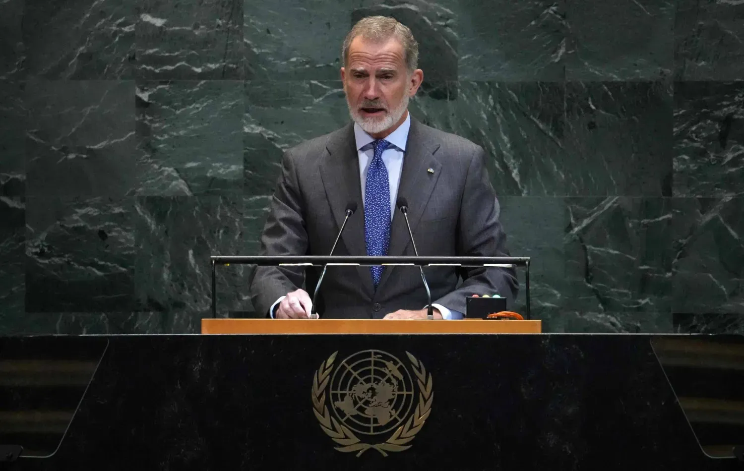 İspanya Kralı VI. Felipe, New York'ta düzenlenen BMGK genel görüşmelerinde konuşuyor (Arşiv- AFP)