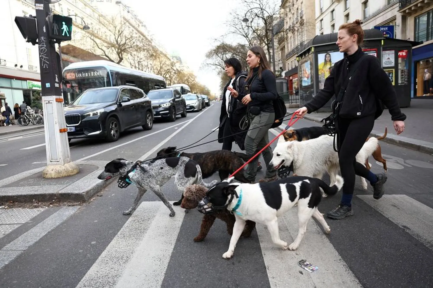 People walk dogs on a pedestrian crossing in Paris, France, March 6, 2026. (Reuters)