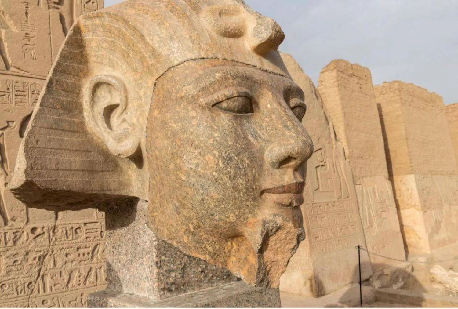 رأس تمثال رمسيس الثاني بعد الترميم (وزارة السياحة والآثار)