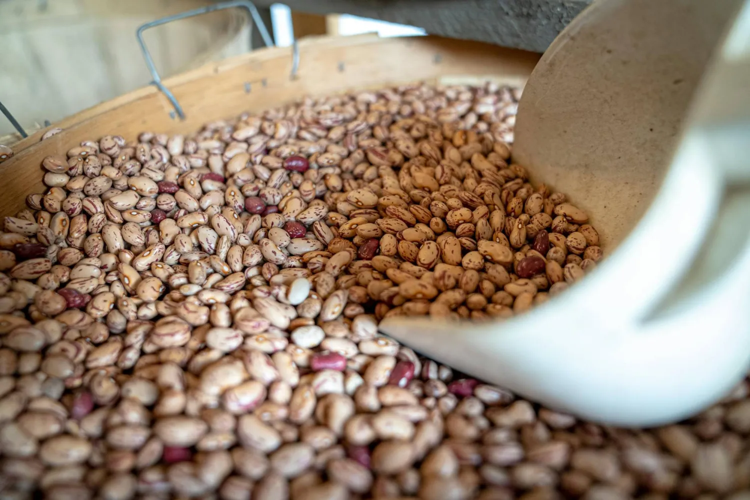 الكثير من الناس يربطون الألياف بالبقوليات مثل الفاصولياء (بيكسلز)