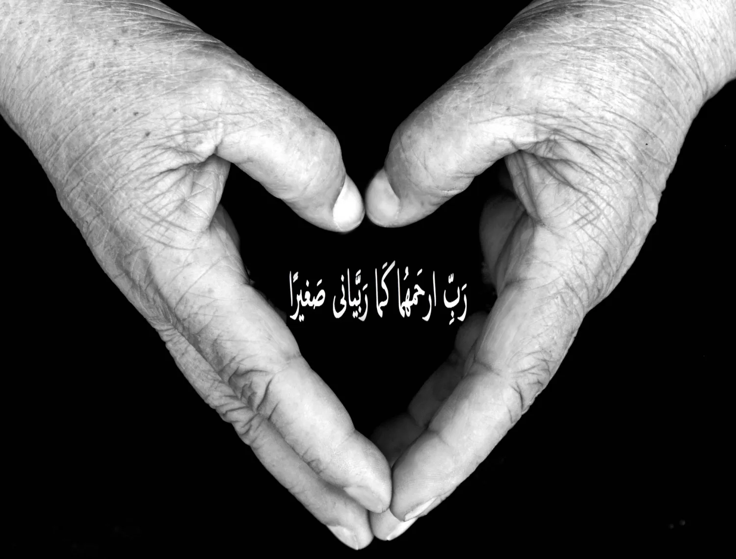 من سلسلة «رب ارحمهما» للمصورة نجلاء الخليفة (المصورة)