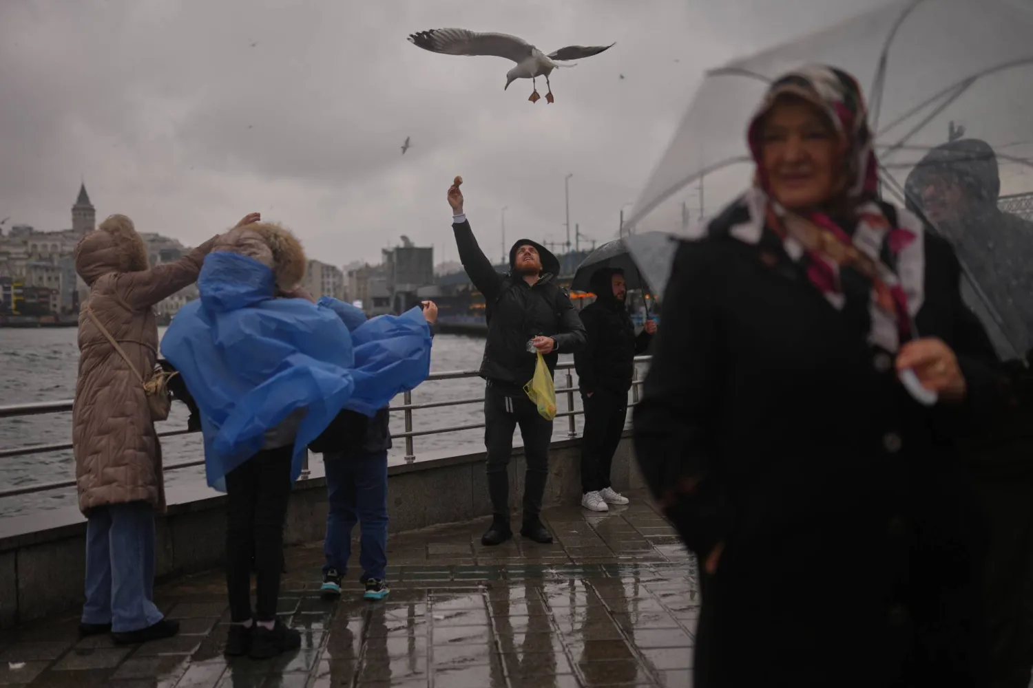 A man feeds seagulls on a rainy and windy day, in Istanbul, Türkiye, Friday, March 20, 2026. (AP Photo/Francisco Seco)