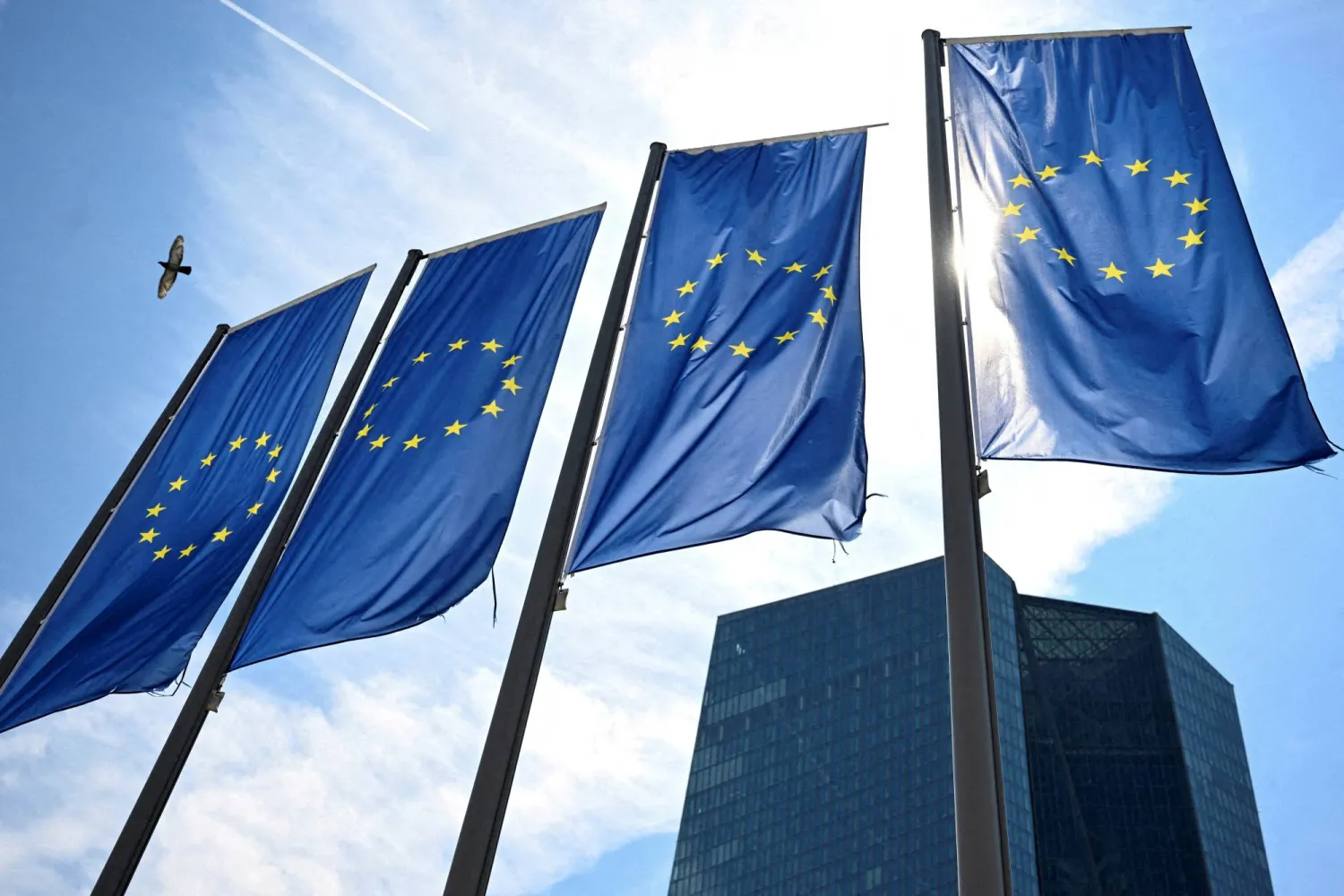 FILE PHOTO: EU flags flutter in front of European Central Bank (ECB) headquarters in Frankfurt, Germany July 18, 2024. REUTERS/Jana Rodenbusch/File Photo/File Photo