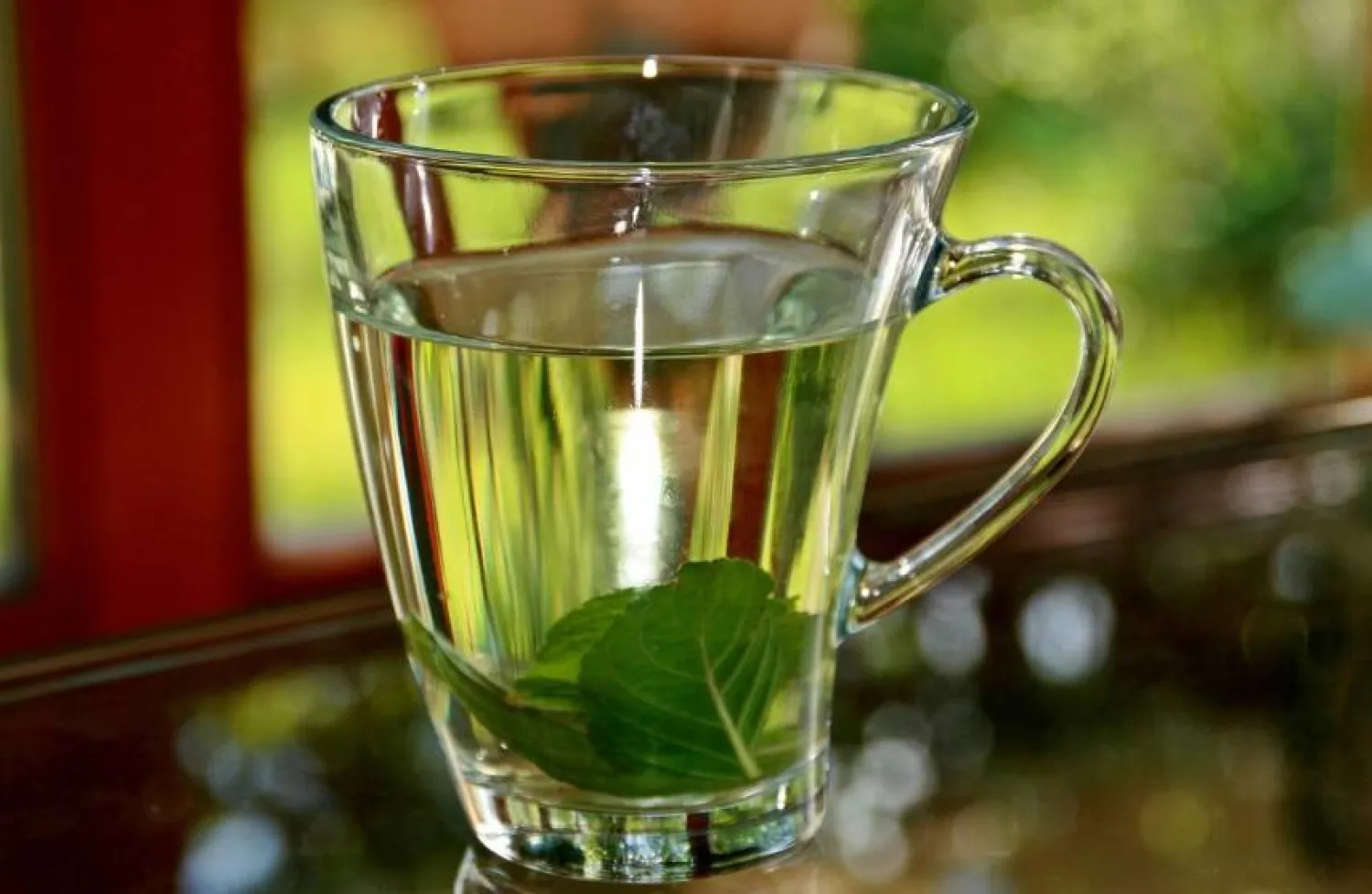 من أبرز فوائد شاي النعناع أنه يدعم عملية الهضم (بكسباي)