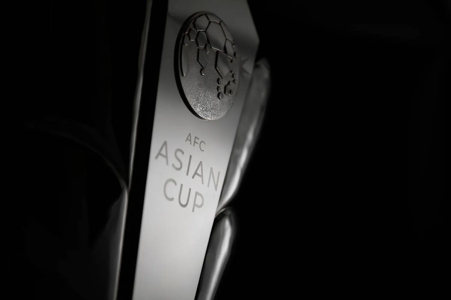 The draw for January's Asian Cup finals has been postponed (AFC)