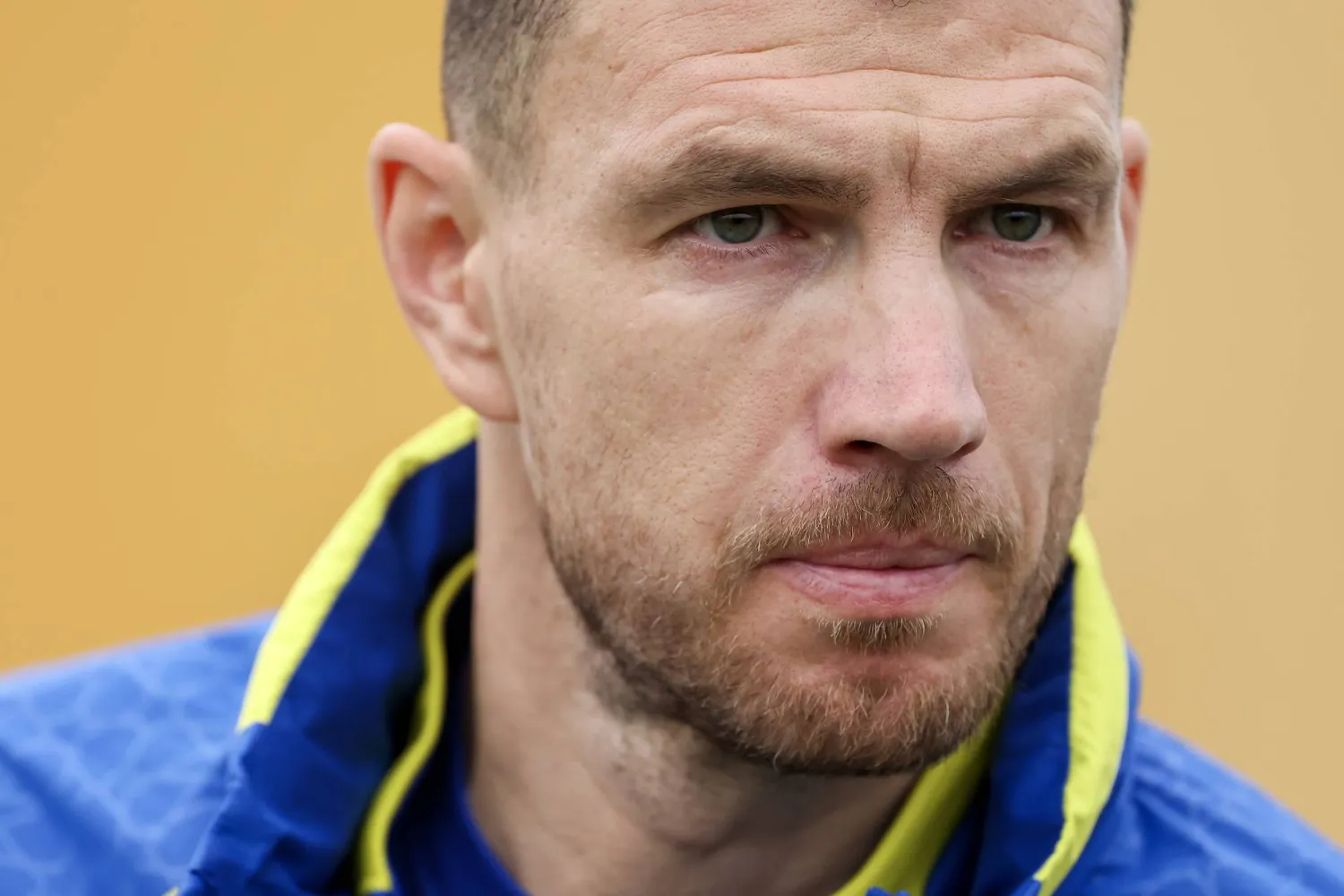 إدين دزيكو قائد البوسنة (أ.ب)