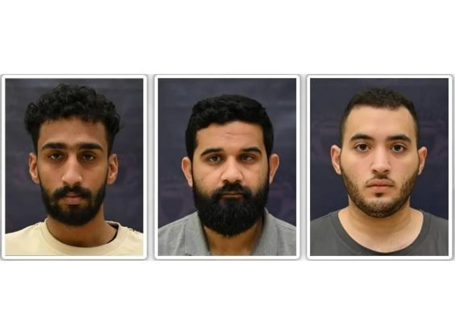 عناصر الخلية الإرهابية المقبوض عليهم (بنا)