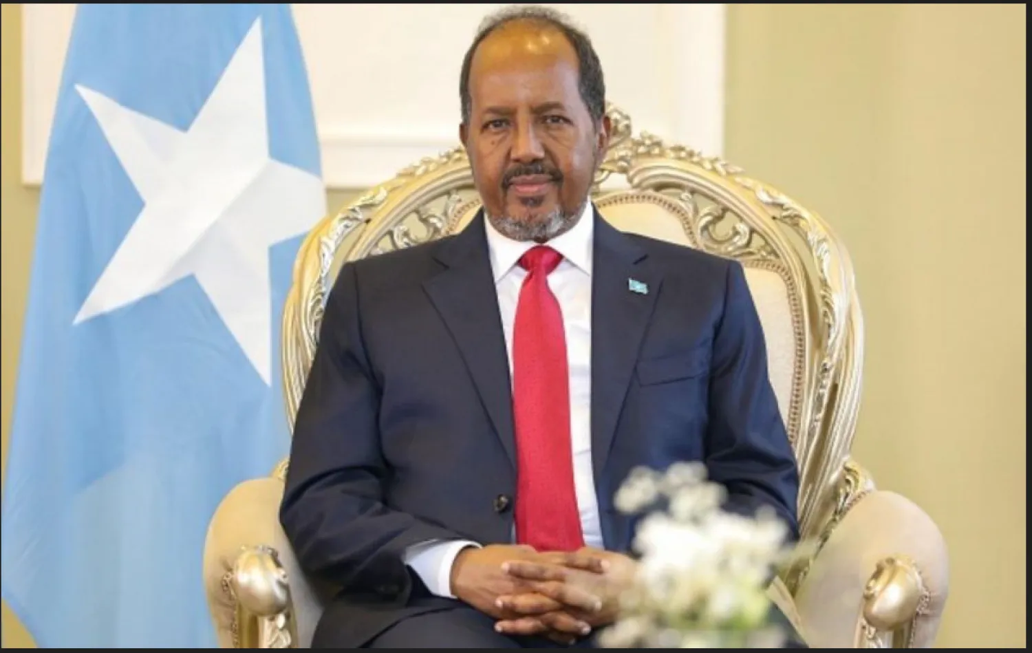 الرئيس الصومالي حسن شيخ محمود (وكالة الأنباء الصومالية)