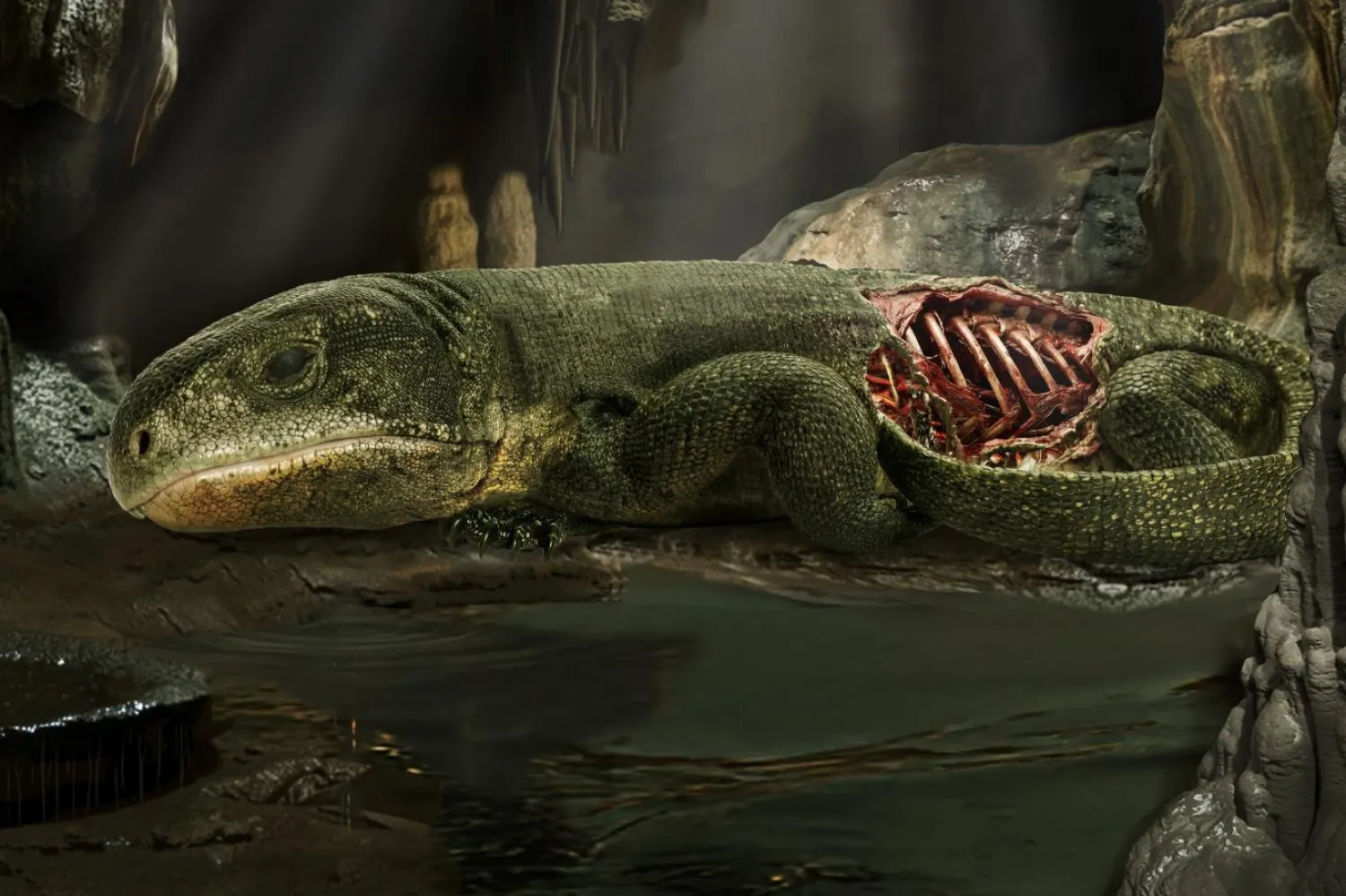 Captorhinus aguti, karada yaşamaya başlayan ilk sürüngenlerden biriydi (Michael DeBraga)