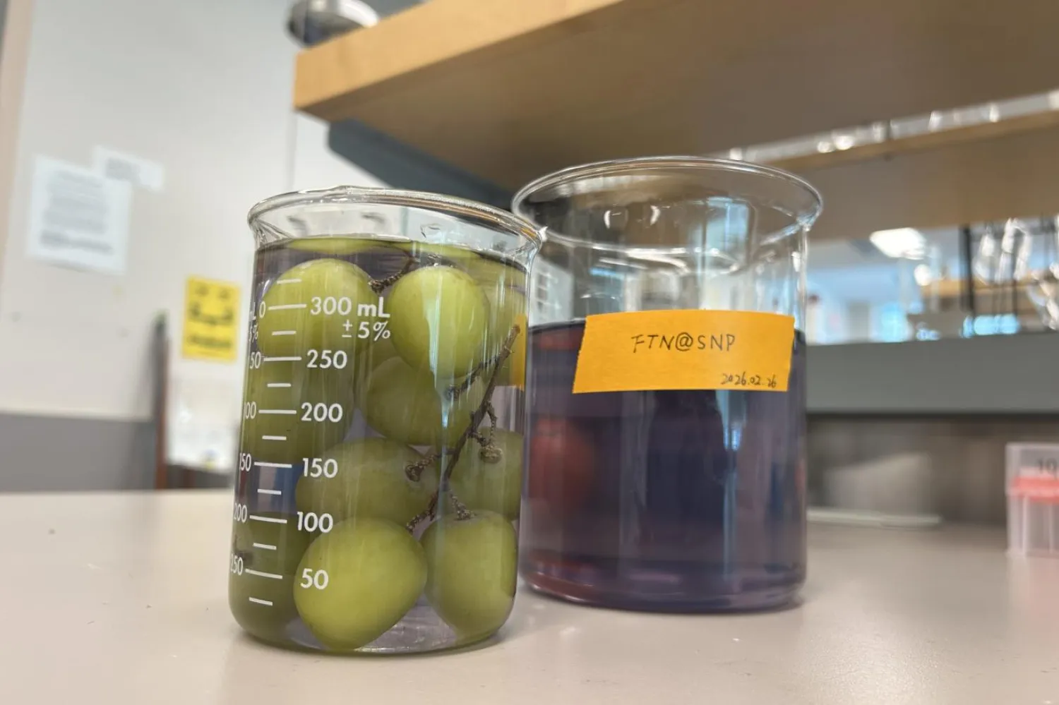 Araştırmacılar yeni kaplamayla gıda kalitesi korunurken, meyvelerin daha uzun süre bozulmadan saklanabildiğini söylüyor (Sachi Wickramasinghe / British Columbia Üniversitesi)